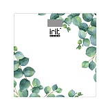   IRIT IR-7273 (10)