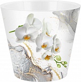    InGreen London Orchid Deco   D160  1,6     IG619610519 (16/1)